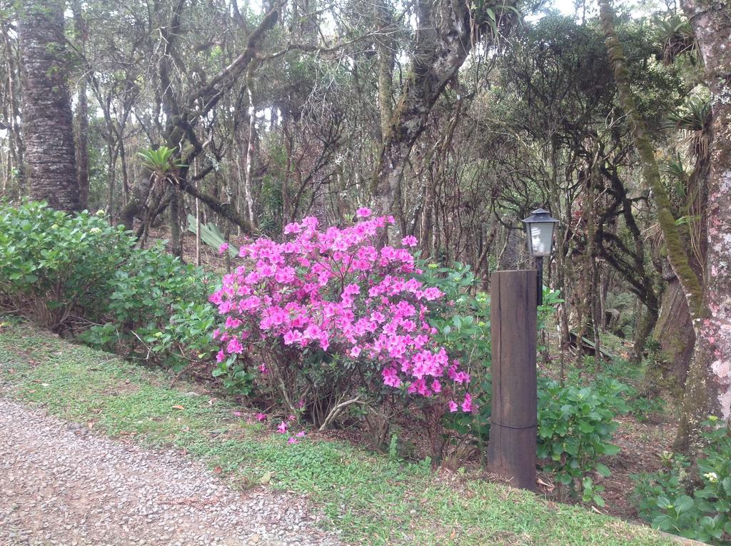 Chales Do Ferradura Campos do Jordão Eksteriør billede
