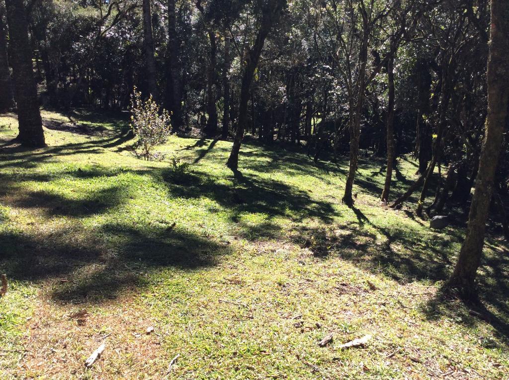 Chales Do Ferradura Campos do Jordão Eksteriør billede