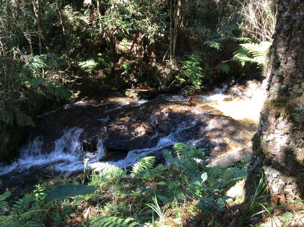 Chales Do Ferradura Campos do Jordão Eksteriør billede