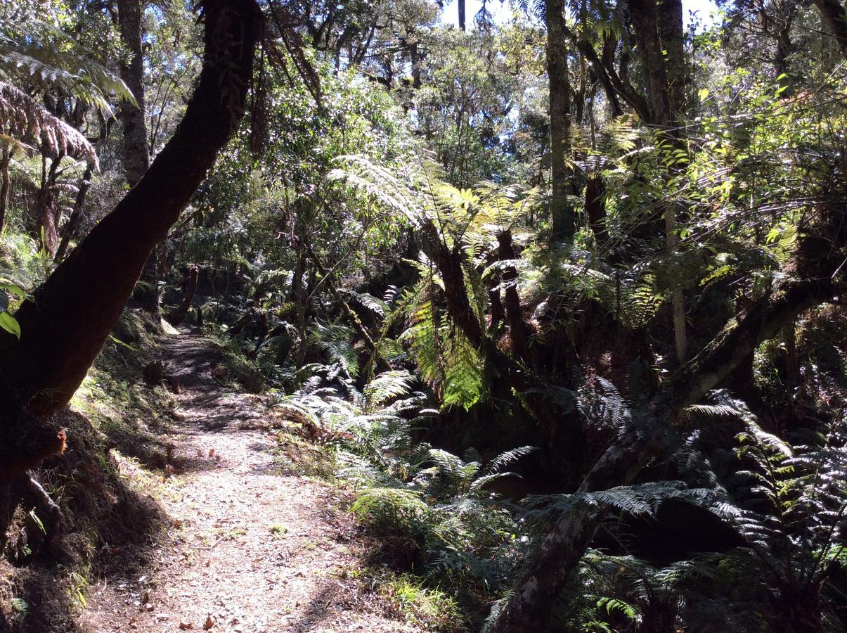 Chales Do Ferradura Campos do Jordão Eksteriør billede